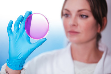 Wall Mural - woman scientist observation about petri dish in laboratory