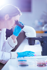 Wall Mural - woman scientist looking through a microscope in laboratory