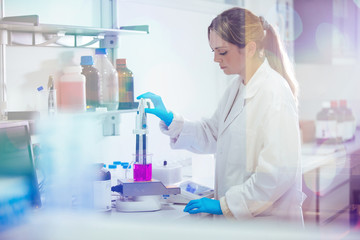 Wall Mural - young woman working in a laboratory