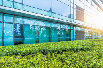 beautiful green field near modern office building.