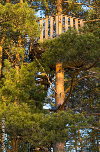 Foto the attraction in the trees with suspended tracks with safety equipment and a ra