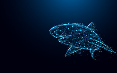 Poster - Abstract shark form lines and triangles, point connecting network on blue background. Illustration vector