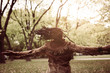 © Mladen - African American girl enjoying in autumn day in park dancing with open arms. From back.