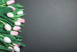 Fototapeta Tulipany - still life spring gentle white and pink tulips