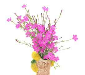 Poster - Pink flowers in a vase.