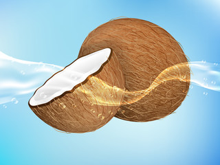 tasty ripe coconut in clean water. Realistic style. Vector illustration.