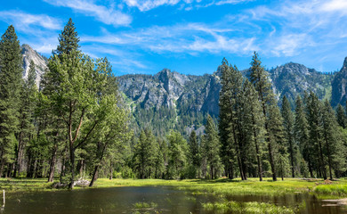 Sticker - Forest, lakes and rivers of the Yosemite Valley. Yosemite National Park, California, USA