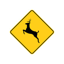 USA Traffic Road Sign. Deer Crossing Ahead. Vector Illustration