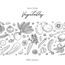 Organic Food Design Template. Fresh Vegetables. Hand Drawn Illustration Frame With Vegetables. Eco Organic Food. Great For Label, Design Menu, Recipes, Poster, Packaging Design, Wrapping Paper.