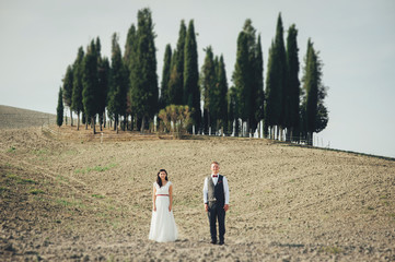 Wall Mural - Happy stylish smiling couple walking and kissing in Tuscany, Ita