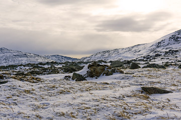 rocky snowy arctic landscape, a mountain tundra under a pink sunset cloudy sky