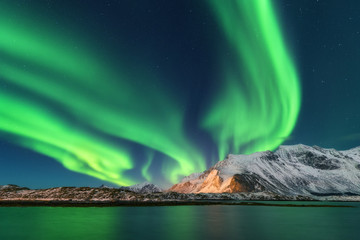 aurora borealis. lofoten islands, norway. aurora. green northern lights. starry sky with polar light