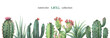 Watercolor vector banner of cacti and succulent plants isolated on white background.