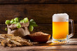 Mug of beer with green hops, wheat ears and grains
