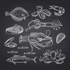 Wall Mural - vector hand drawn seafood elements on black chalkboard set