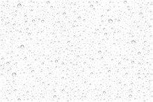 Vector Realistic Water Drops Condensed