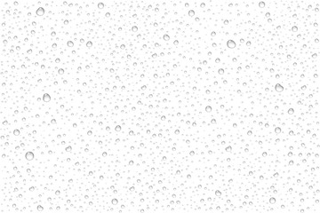 vector realistic water drops condensed