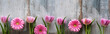 Leinwandbild Motiv Spring flowers on shabby wood