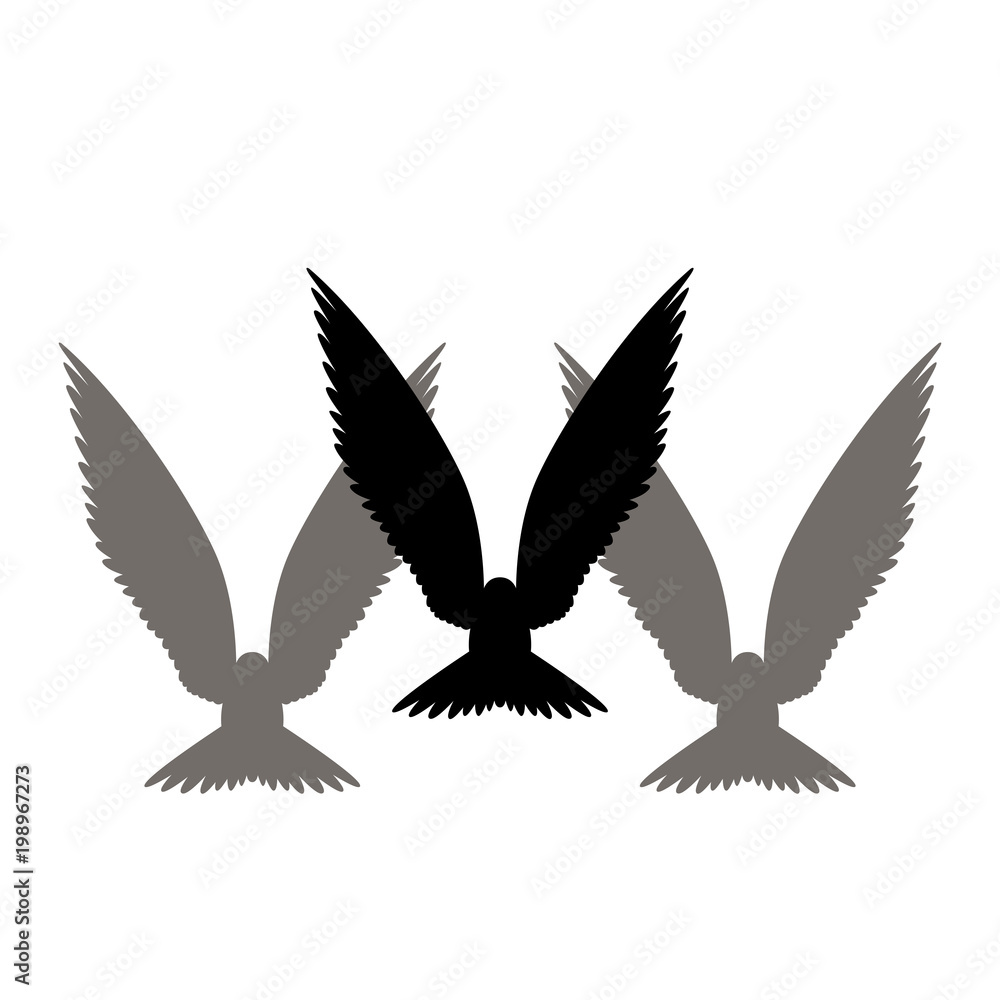 bird wings black silhouette set vector illustration front Stock Vector ...