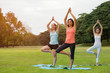 Yoga at park.family couple exercising outdoors. Concept of healthy lifestyle.women exercising in the park.