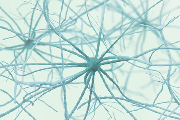Aufkleber - Neurons 3D illustration. Neural networks of the human brain