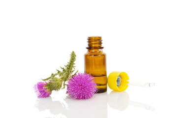 Poster - Carduus flower essential oil.