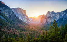Yosemite National Park At Sunrise, California, USA