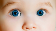 Blue Eyes Of The Child.Nose And Two Eyes Of Child - Face Close Up