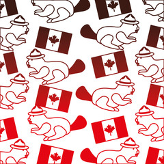 Poster - beaver with hat and canadian flag pattern vector illustration design