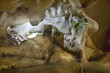 jaskinia morska CUEVA DEL TESORO
