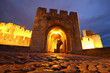 portail d'entrée de la cité médiévale de carcassonne