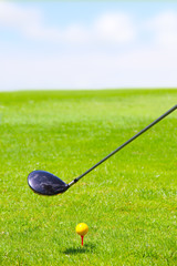 Sticker - Golf club and ball on green grass