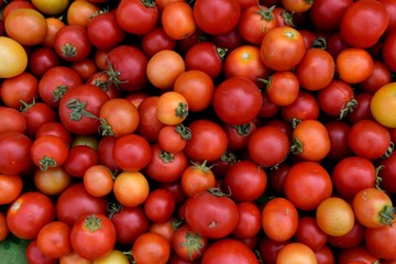 Fresh harvested ripe red tomatoes in a farmers produce market in Jaipur, Rajasthan, India. 