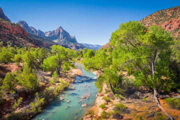 Wall Mural - zion national park scenery with the watchman peak and virgin river in summer, utah, usa