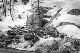 Fototapeta  - spring landscape in the mountains in black and white with snow. Bad weather