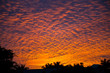 Sunset Cloud Patterns
