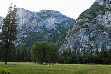 Poster - Meadow in Yosemite