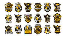 A Large Collection Of Colorful Logos, Badges, Emblems On The Theme Of A Hawk. Flying Bird, Hunter, Predator, Dangerous Animal, Shield, Lettering. Mascot Sports Club, Vector Illustration