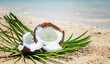 crashed coconut in the sand on the shore of a warm tropical sea, rest and travel concept, healthy food