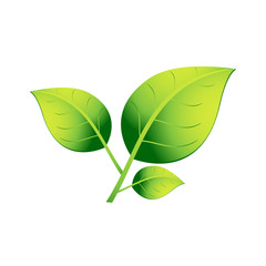 Wall Mural - A plant with three green leaves on a white background. EPS 10.