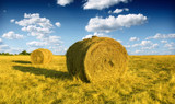 Fototapeta Mapy - Hay bale in the countryside