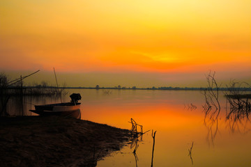 beautiful nature on sunset time