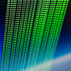 Ping of site using UNIX bash shell. Green code in command line interface.