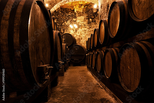 Wooden barrels with wine in a wine vault Canvas Print
