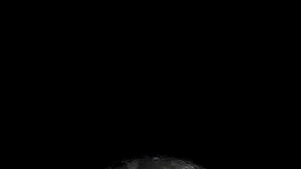 Wall Mural - The full moon sees the traces of the oaks.