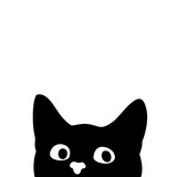 Fototapeta Koty - Curious cat. Sticker on a car or a refrigerator