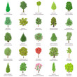 Tree types icons set, isometric style