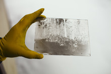 Glass Plate, With Negative Image, Ambrotype.