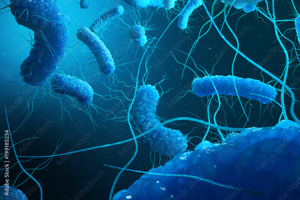 Enterobacterias Gram negativas Proteobacteria, bacteria such as salmonella, escherichia coli, yersinia pestis, klebsiella. 3D illustration - obrazy, fototapety, plakaty 