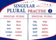 singular plural practise
